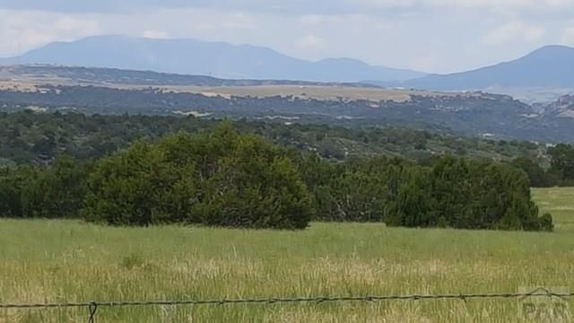 102 William Finlay Drive Rye, CO 81069 - Photo 4 of 7 Gallery Image 4