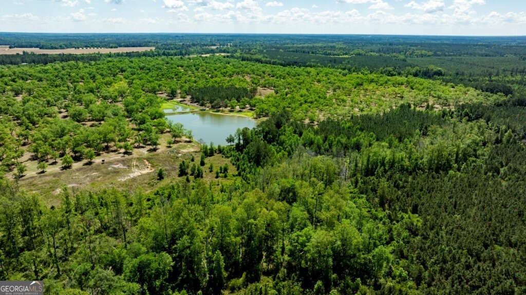 16505 Union Road Metter, GA 30439 - Photo 2 of 40 a view of a garden with a lake