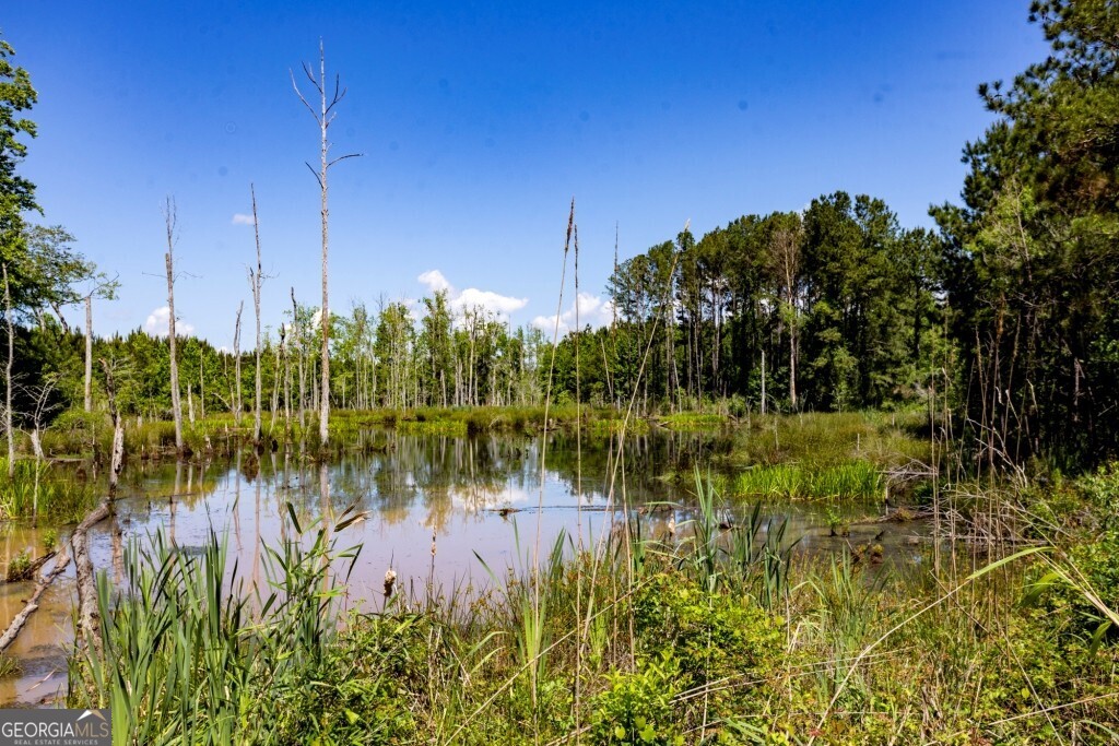 16505 Union Road Metter, GA 30439 - Photo 35 of 40 a view of lake