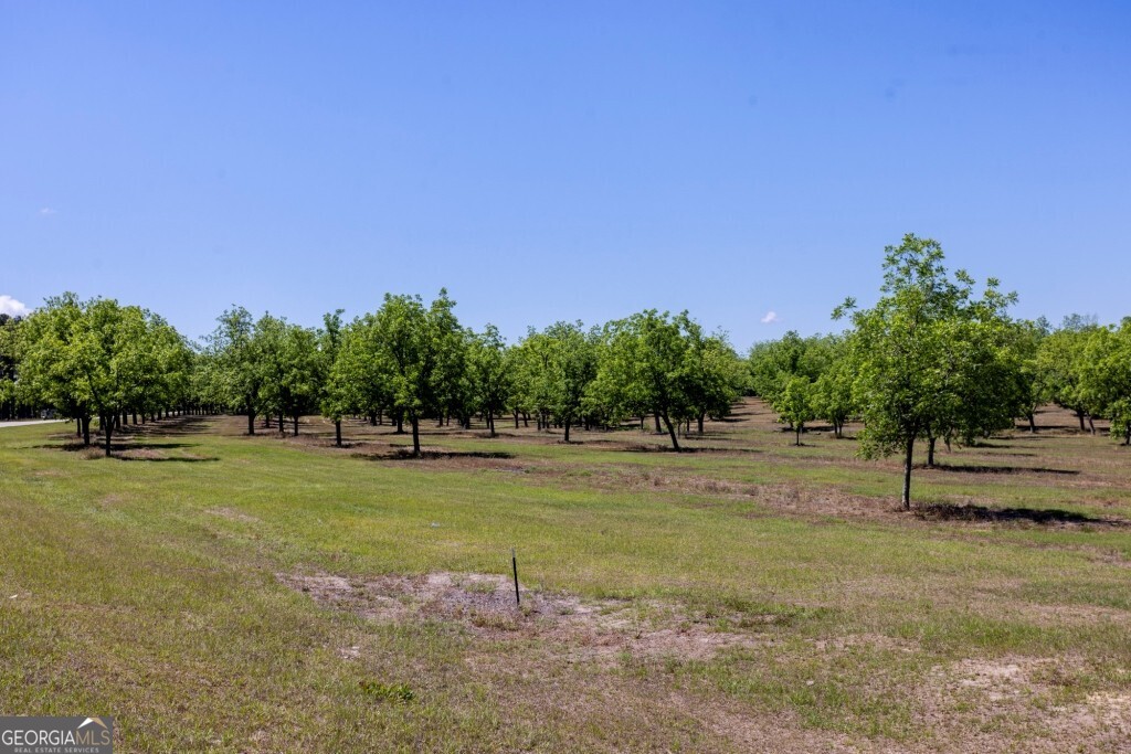 16505 Union Road Metter, GA 30439 - Photo 4 of 40 a view of a field with trees in the background