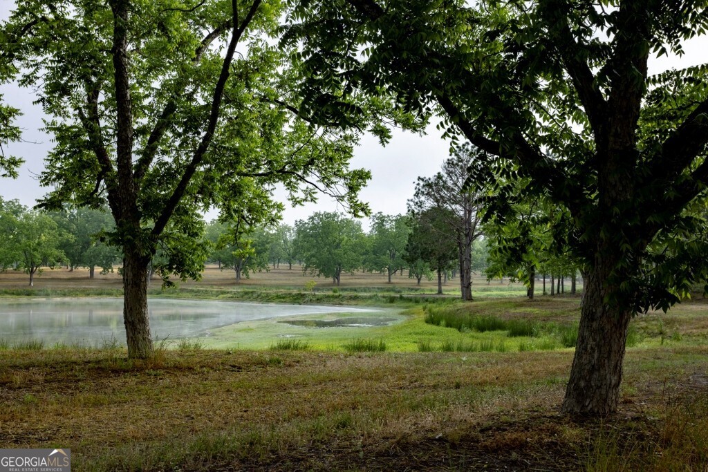 16505 Union Road Metter, GA 30439 - Photo 6 of 40 a big yard with lots of green space and trees
