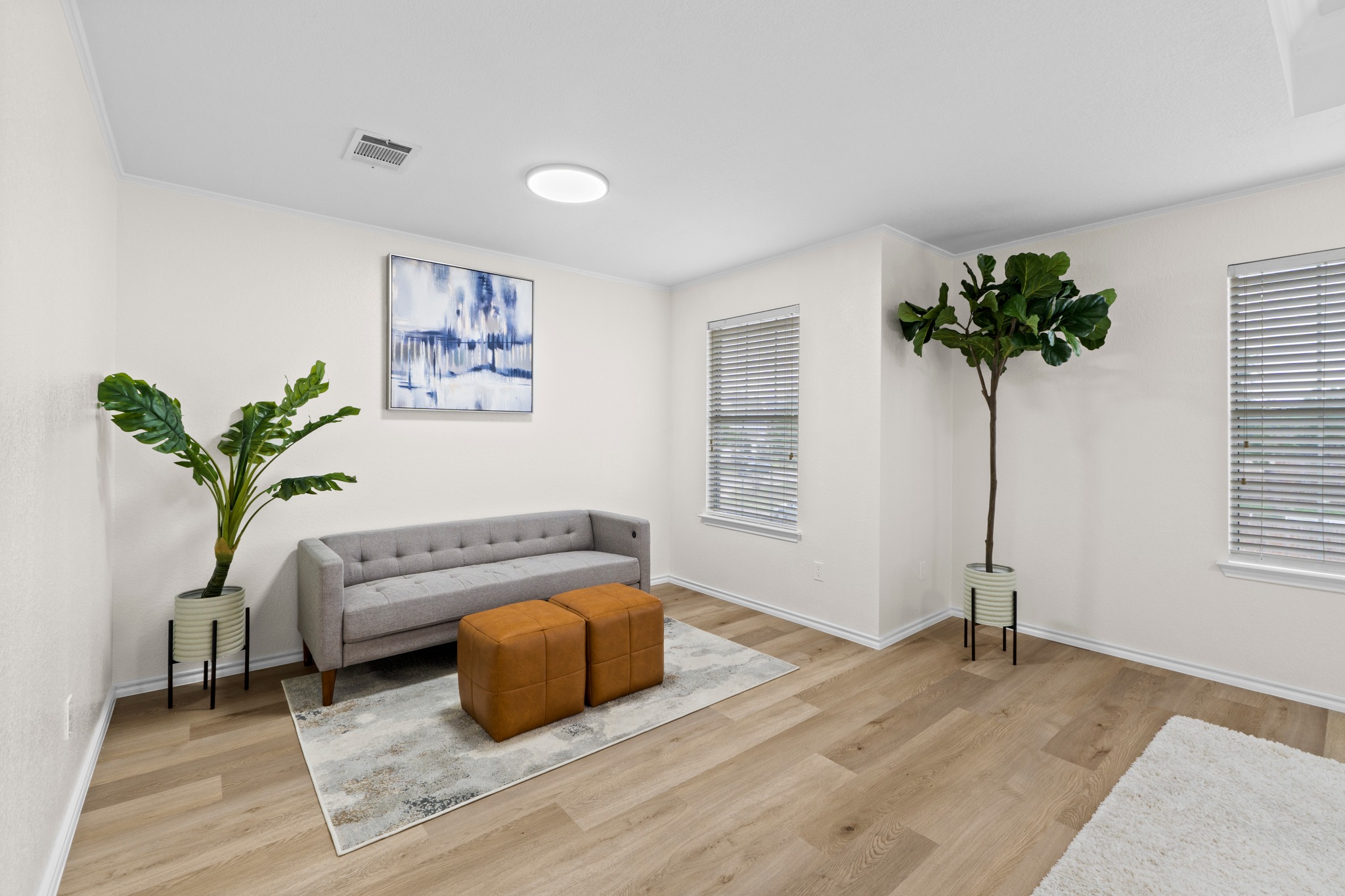 3811 Laurel Ridge Drive Round Rock, TX 78665 - Photo 22 of 35 a living room with a couch and a potted plant