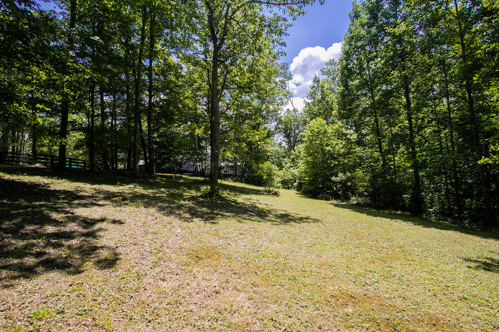 176 Pond Circle Road Wellington, KY 40387 - Photo 37 of 44 8G1A0012