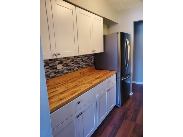 955 Ridge Road, Unit 1D2 Homewood, IL 60430 - Photo 4 of 6