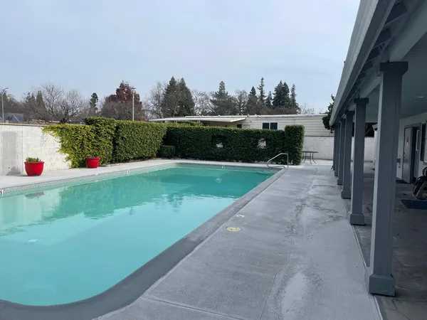 a view of a backyard