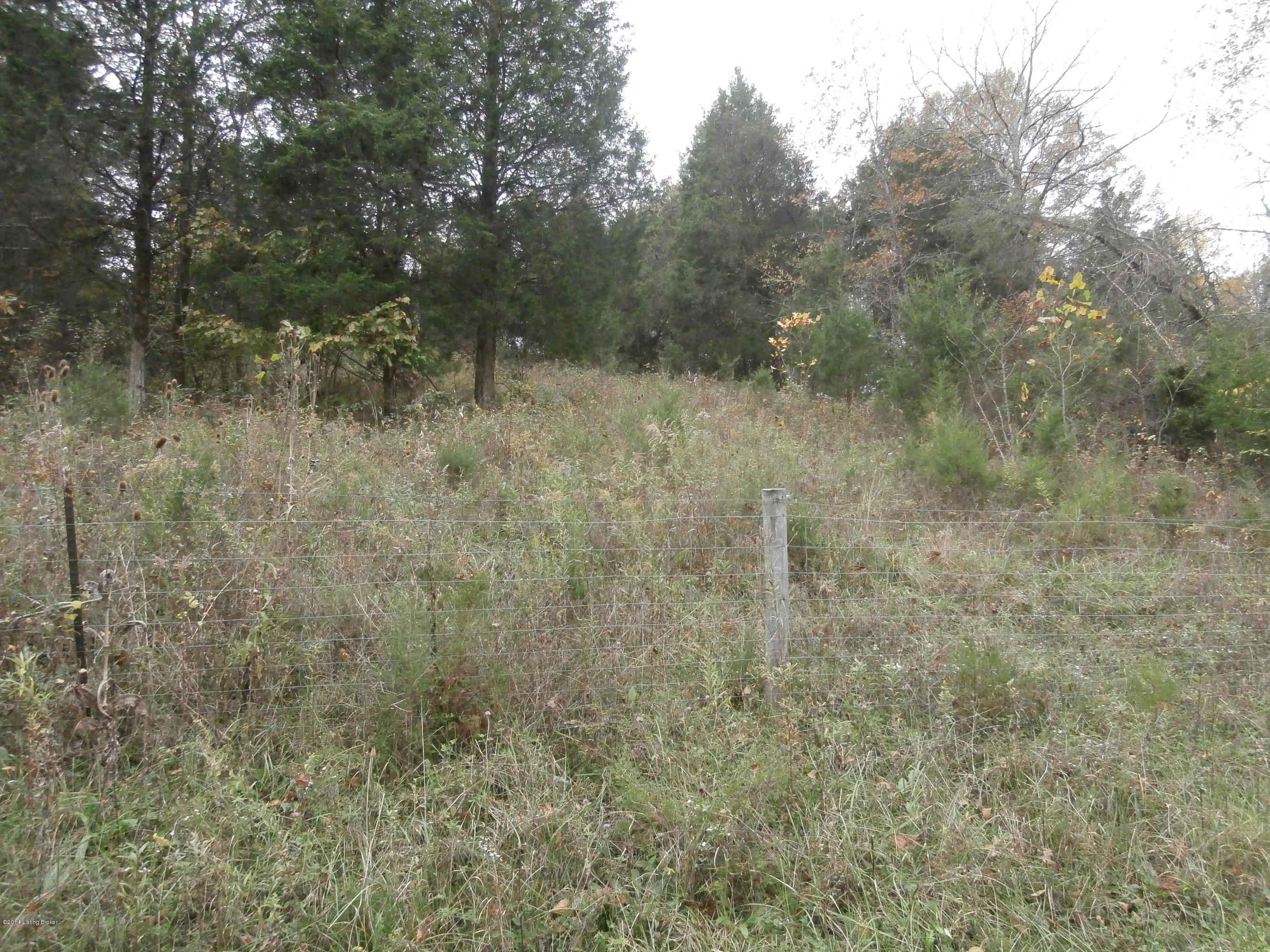1701 Jacksonville Road Bagdad, KY 40003 - Photo 5 of 13 PA210047