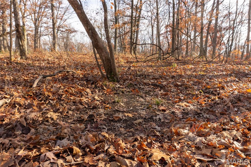 0 Big Tavern Creek Road Portland, MO 65067 - Photo 11 of 21