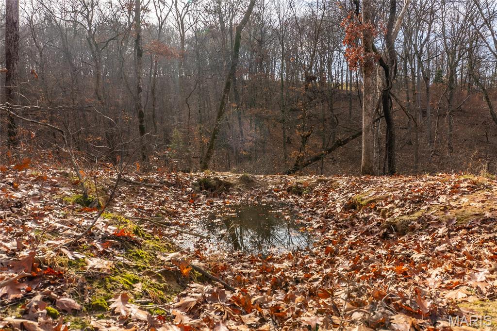 0 Big Tavern Creek Road Portland, MO 65067 - Photo 12 of 21