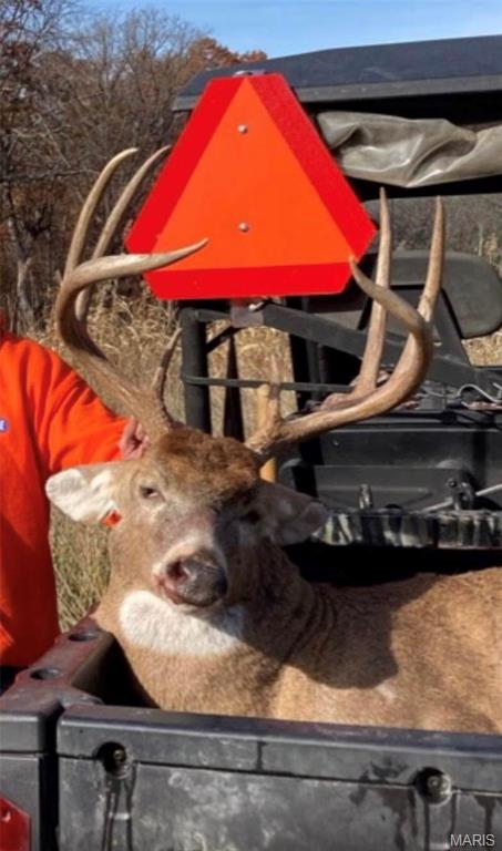 0 Big Tavern Creek Road Portland, MO 65067 - Photo 13 of 21