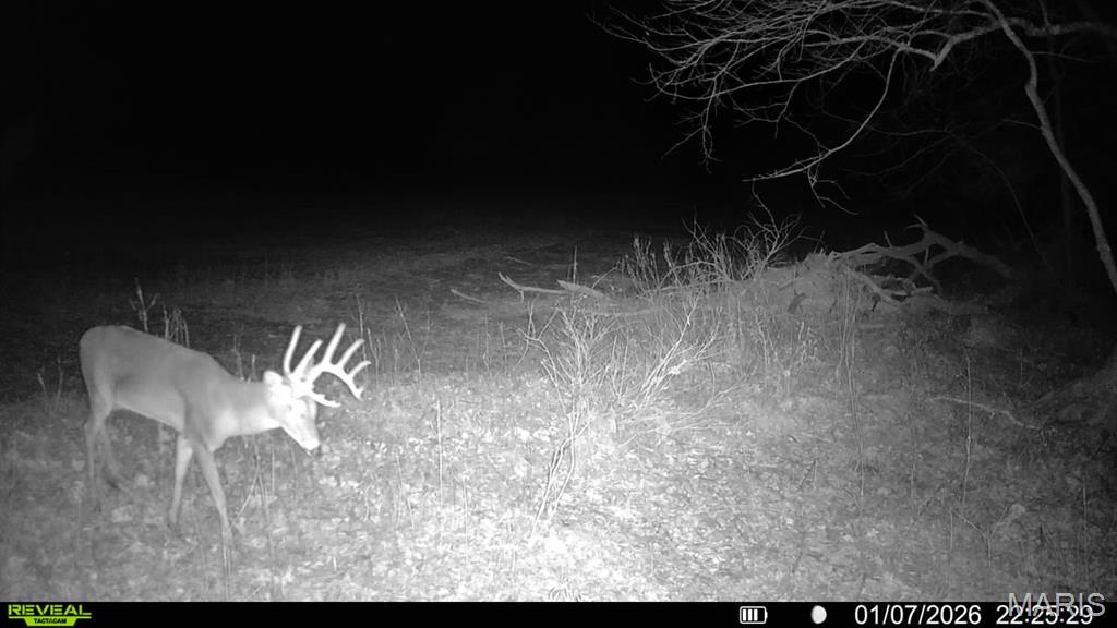 0 Big Tavern Creek Road Portland, MO 65067 - Photo 15 of 21