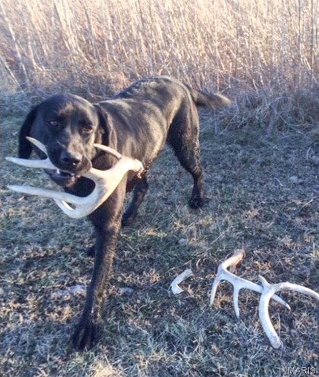 0 Big Tavern Creek Road Portland, MO 65067 - Photo 18 of 21