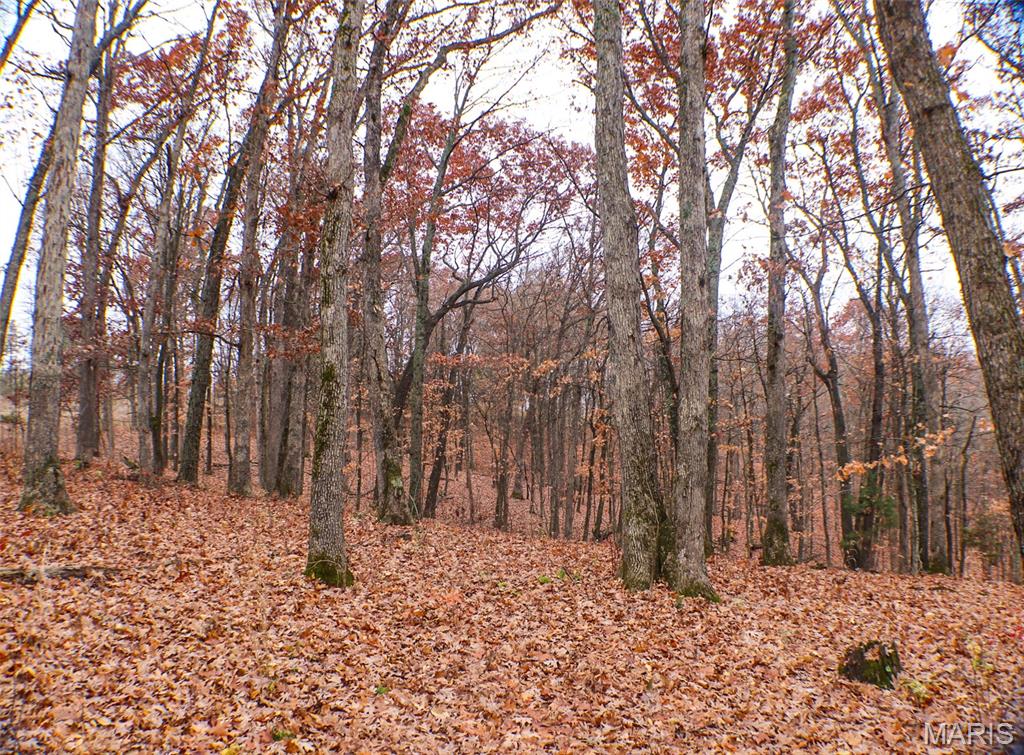 0 Big Tavern Creek Road Portland, MO 65067 - Photo 4 of 21