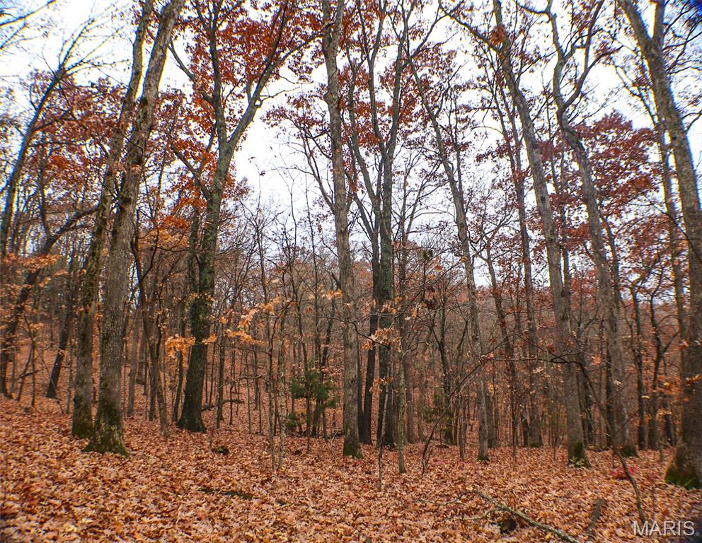 0 Big Tavern Creek Road Portland, MO 65067 - Photo 5 of 21