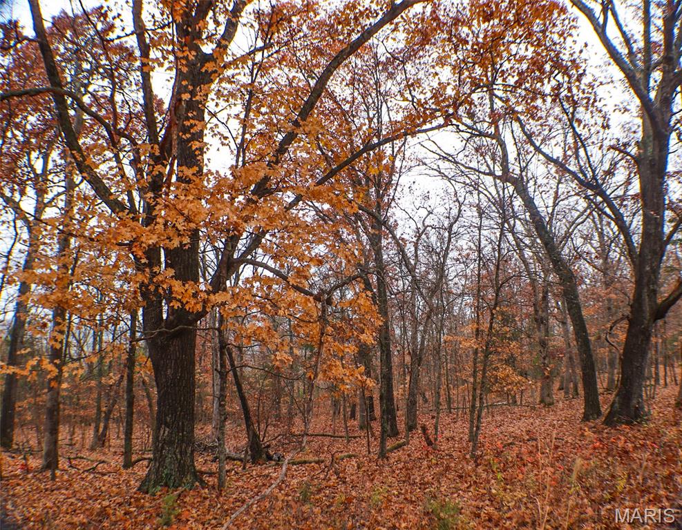 0 Big Tavern Creek Road Portland, MO 65067 - Photo 6 of 21