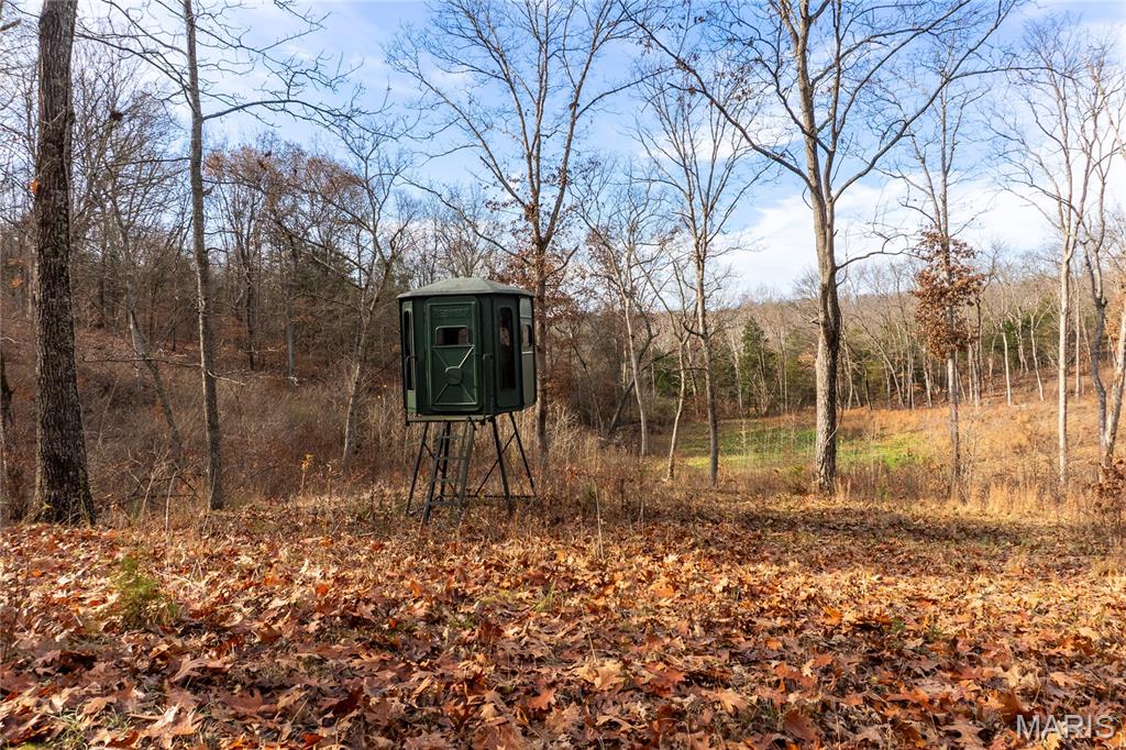 0 Big Tavern Creek Road Portland, MO 65067 - Photo 7 of 21