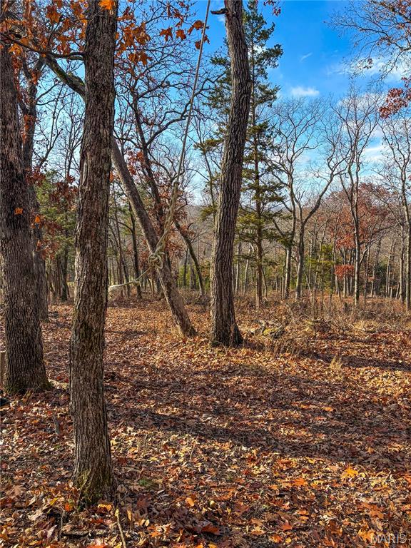 0 Big Tavern Creek Road Portland, MO 65067 - Photo 9 of 21