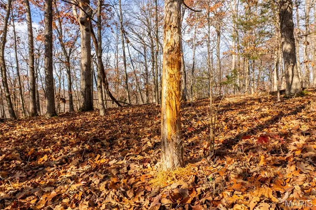 $322,500 | 0 Big Tavern Creek Road, Portland, MO 65067