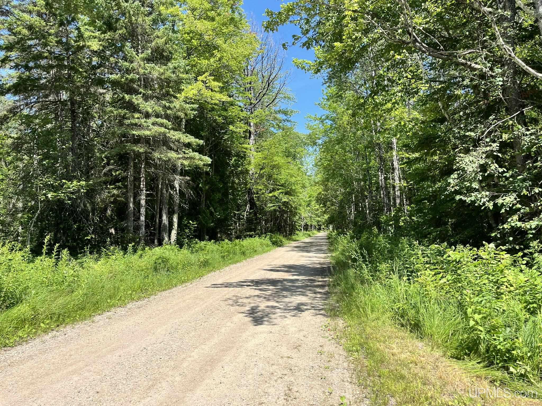 1652 Sawmill Road Manistique, MI 49854 - Photo 28 of 28