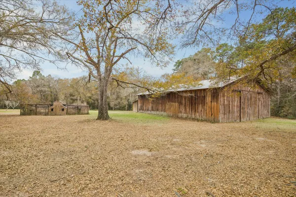 a view of large yard with large tree