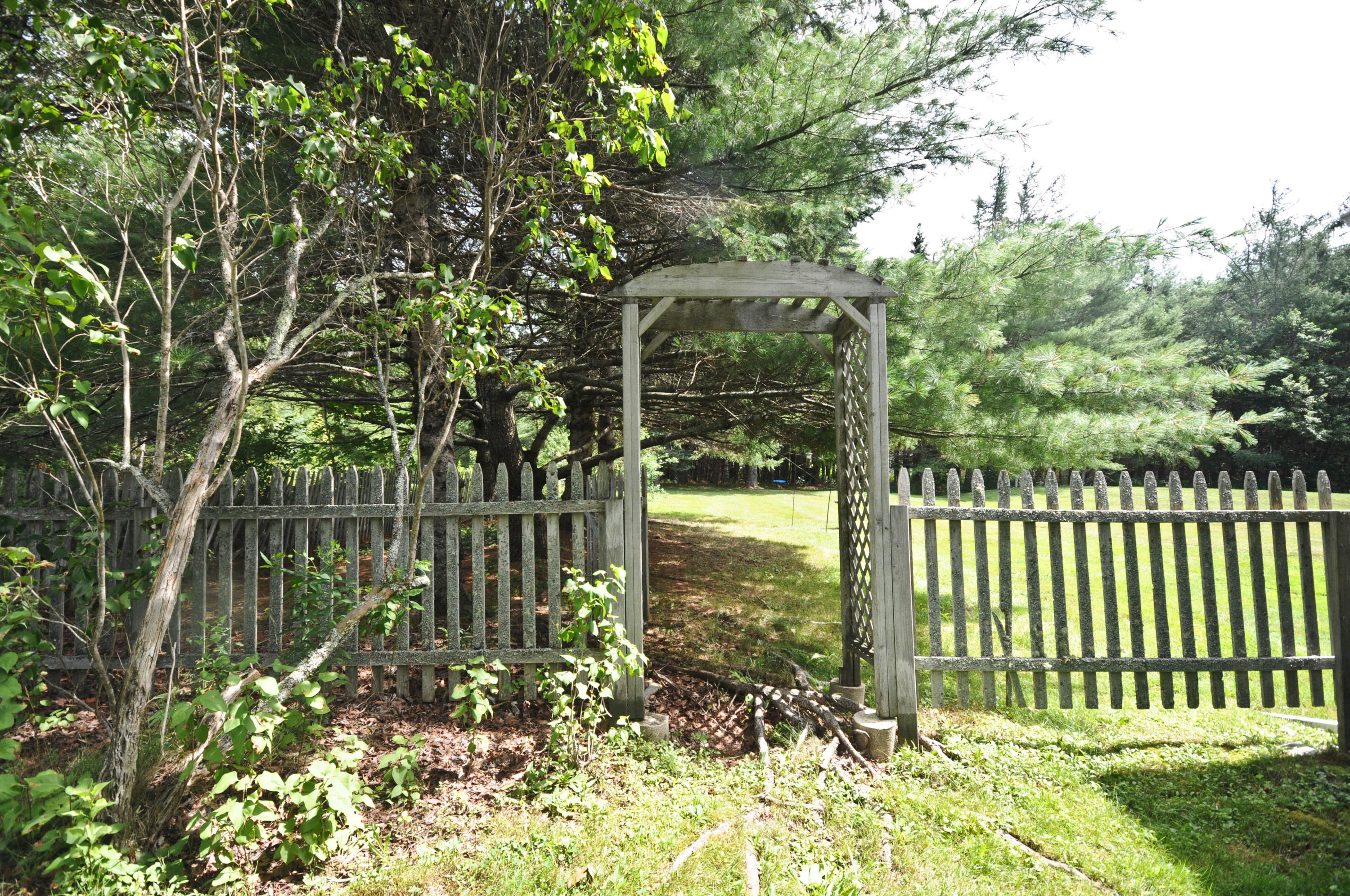 446 North Bend Road Surry, ME 04684 - Photo 43 of 44 DSC_7157