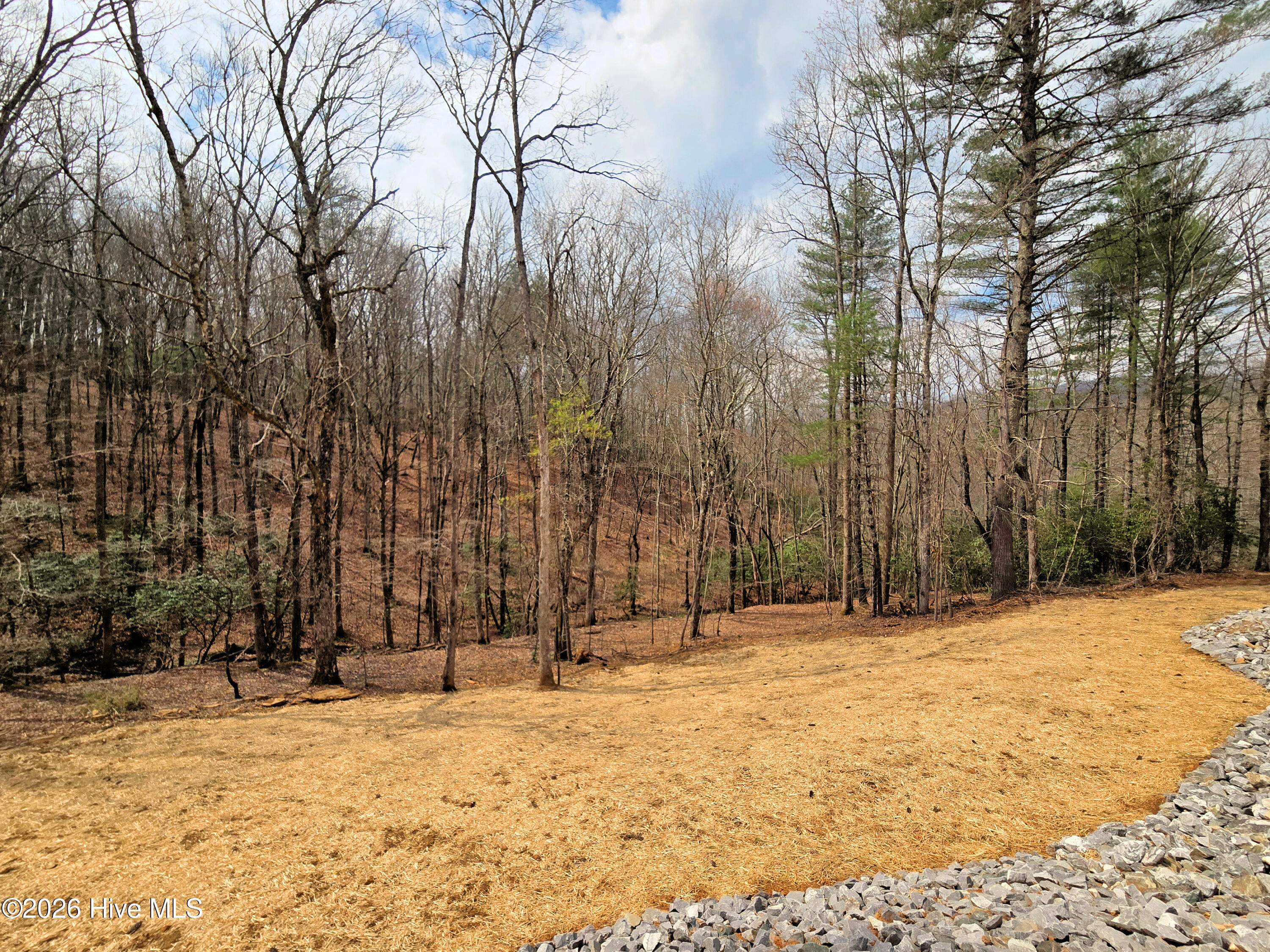 342 Hunter Ridge Murphy, NC 28906 - Photo 12 of 58 13