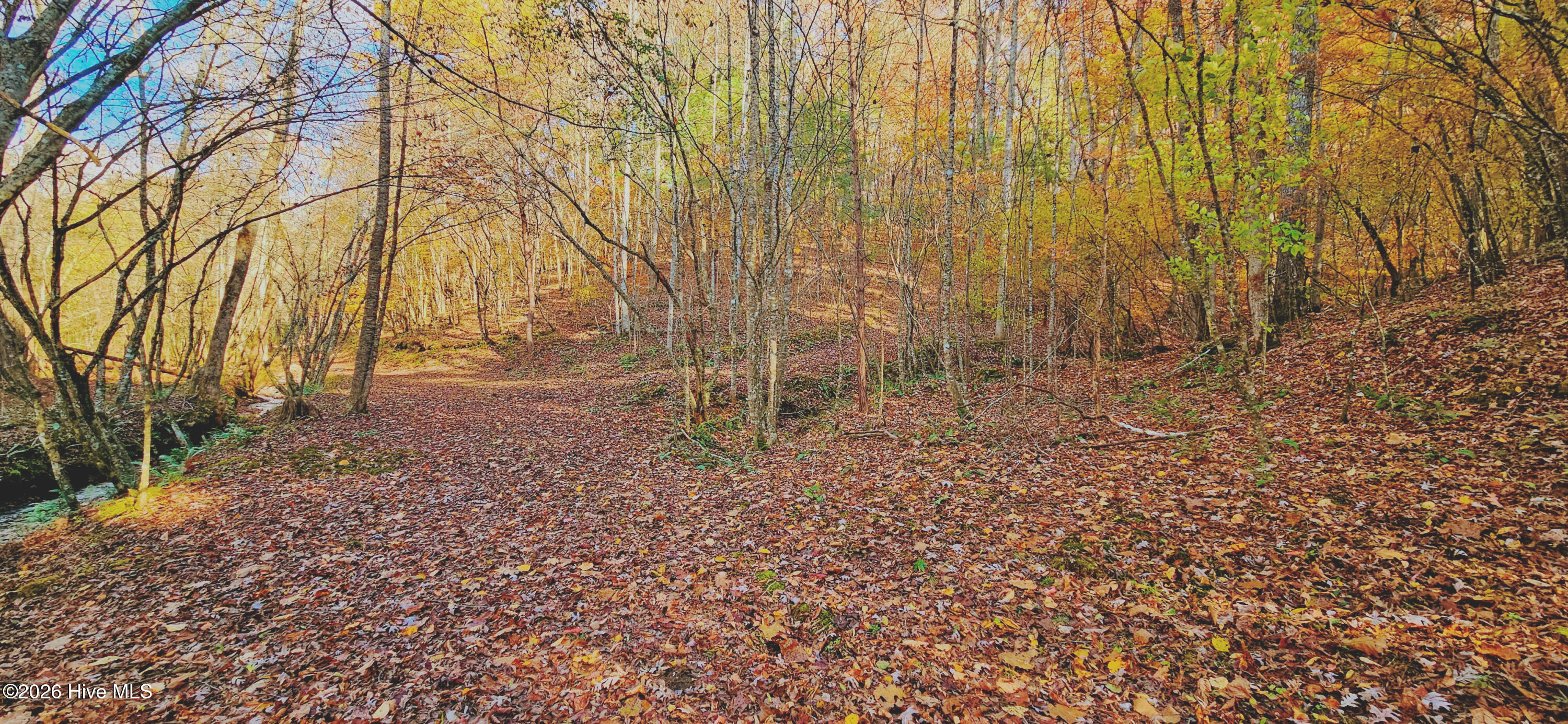 342 Hunter Ridge Murphy, NC 28906 - Photo 4 of 58 5