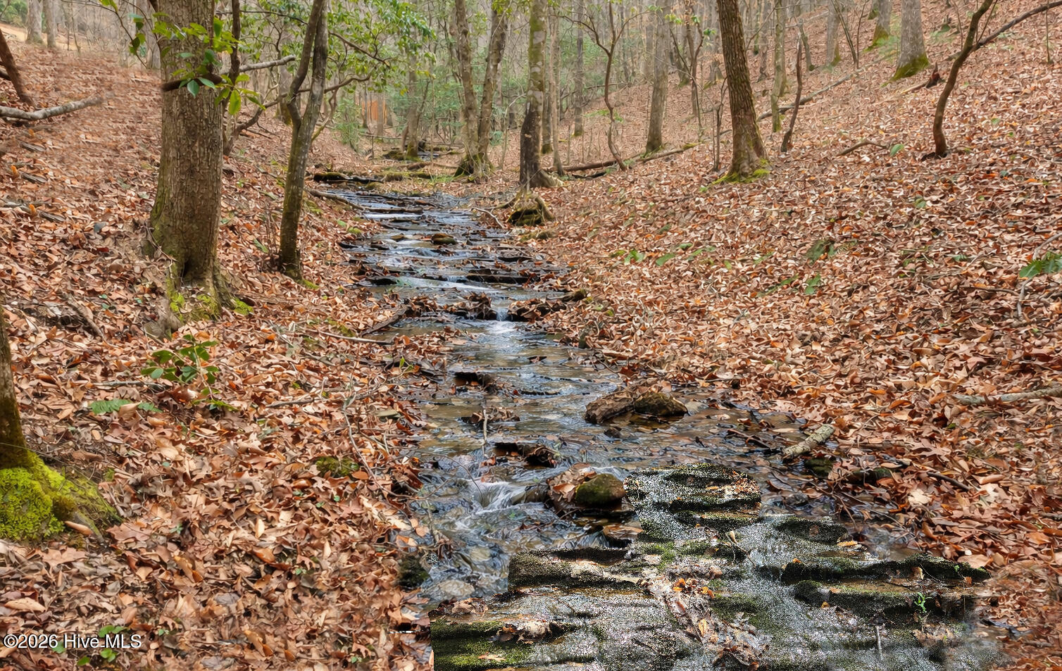 342 Hunter Ridge Murphy, NC 28906 - Photo 6 of 58 7
