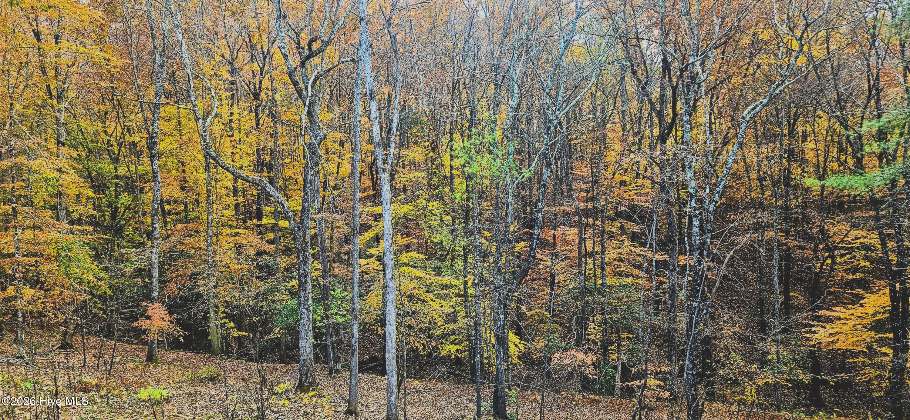 342 Hunter Ridge Murphy, NC 28906 - Photo 8 of 58 9