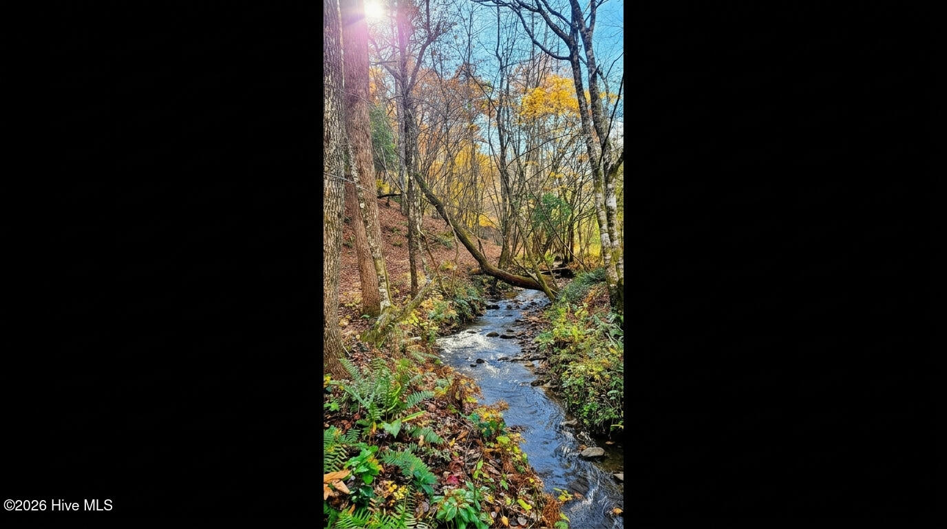 342 Hunter Ridge Murphy, NC 28906 - Photo 9 of 58 10
