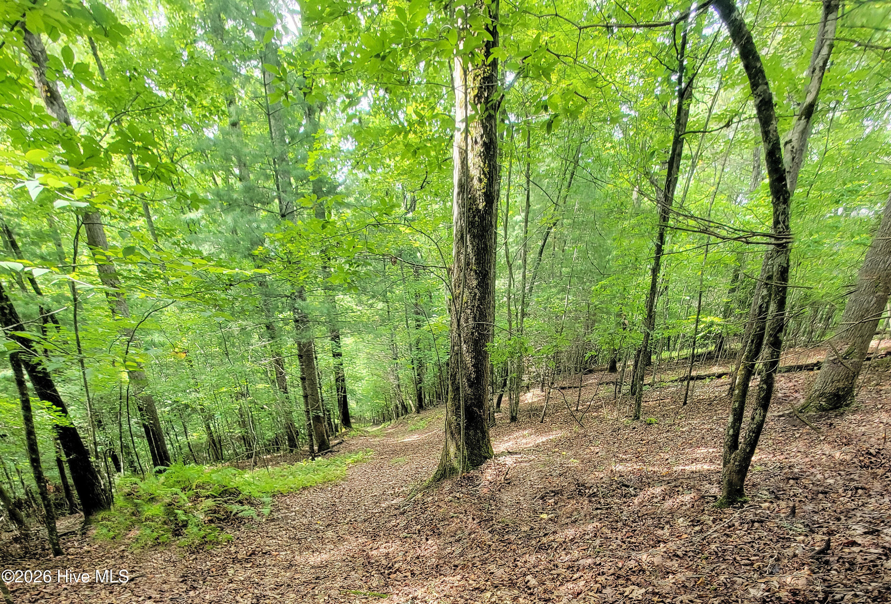 342 Hunter Ridge Murphy, NC 28906 - Photo 10 of 58 11