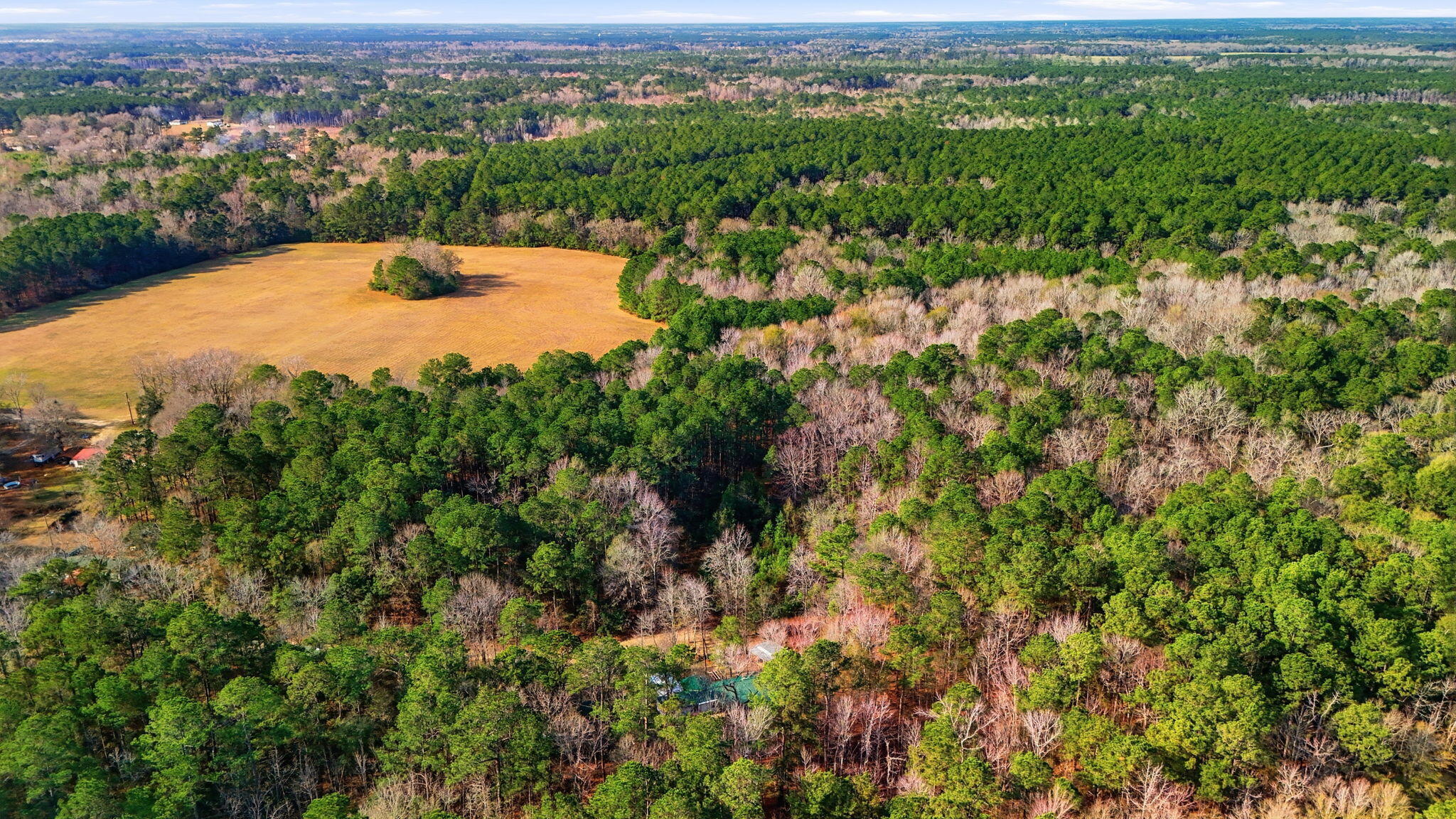 316 Forever Eclipse Lane Cross, SC 29436 - Photo 39 of 47 Aerial