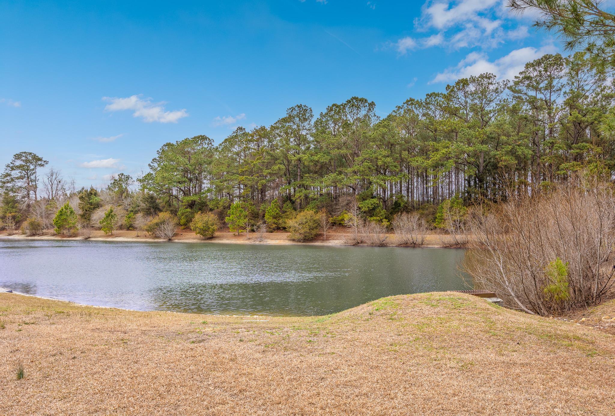 112 Barons Bluff Drive Conway, SC 29526 - Photo 39 of 50
