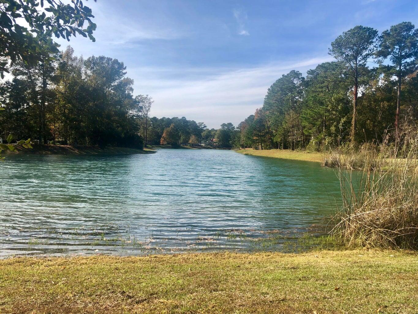 4163 Deep Step Drive Ravenel, SC 29470 - Photo 5 of 52 2