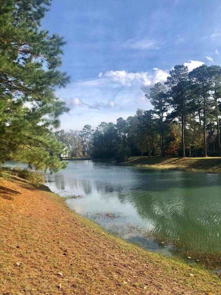 4163 Deep Step Drive Ravenel, SC 29470 - Photo 6 of 52 3