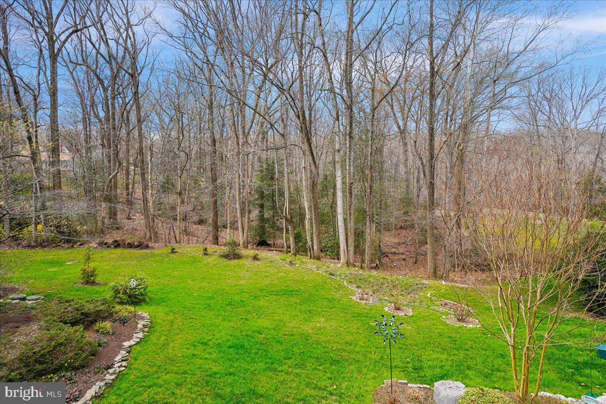 7920 Journey Lane Springfield, VA 22153 - Photo 20 of 58