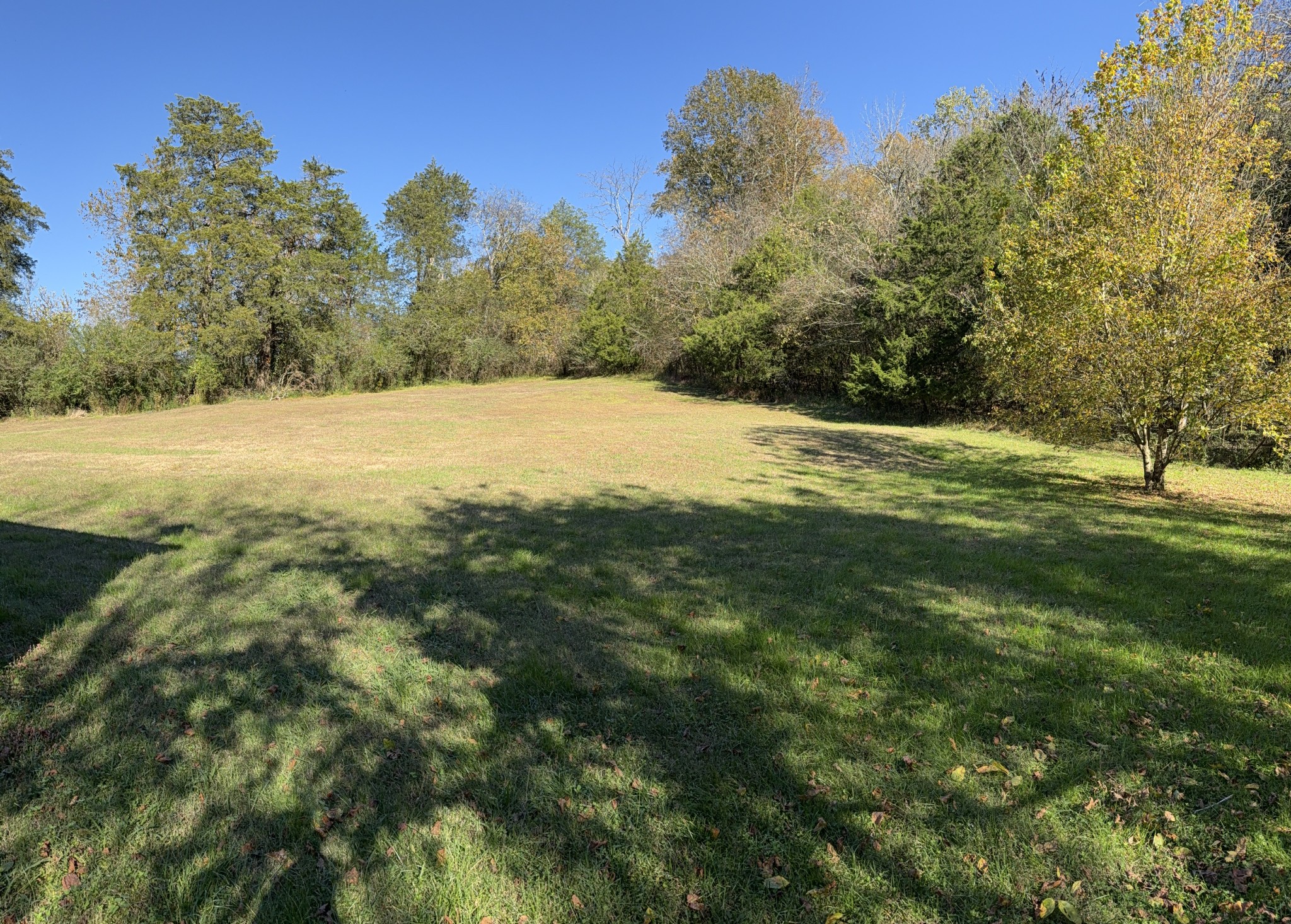 355 Chicken Creek Road Pulaski, TN 38478 - Photo 2 of 17 a view of outdoor space with a yard