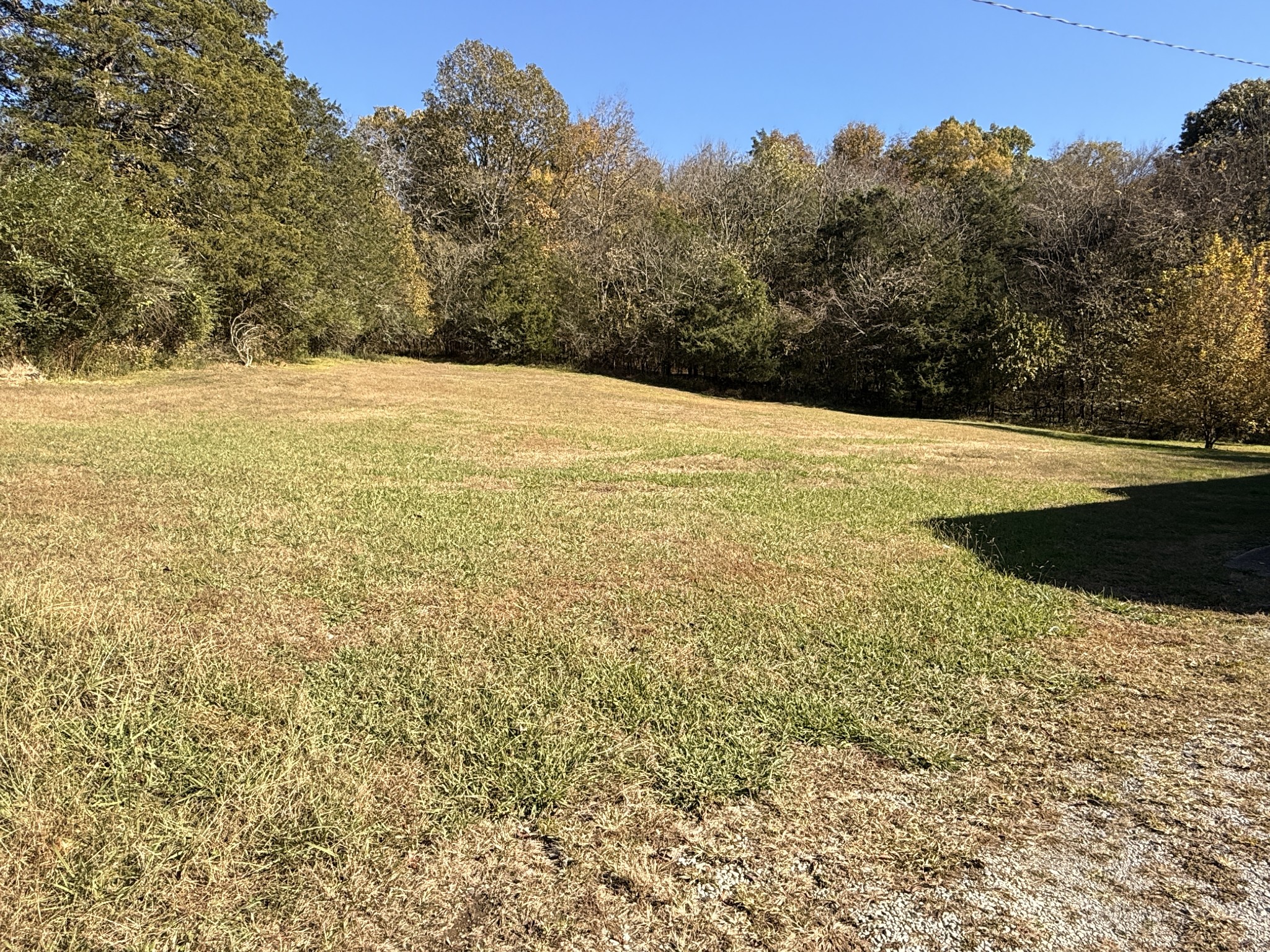 355 Chicken Creek Road Pulaski, TN 38478 - Photo 4 of 17 a view of a yard with an outdoor space