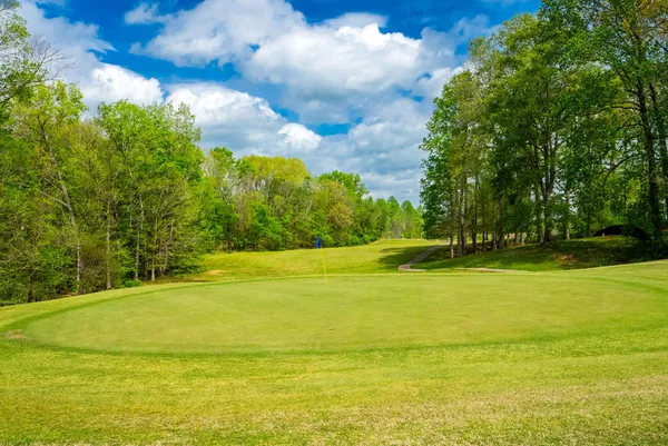 $770,000 | 4172 Ironwood Drive, Greenbrier, TN 37073