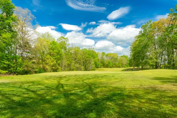 $770,000 | 4172 Ironwood Drive, Greenbrier, TN 37073