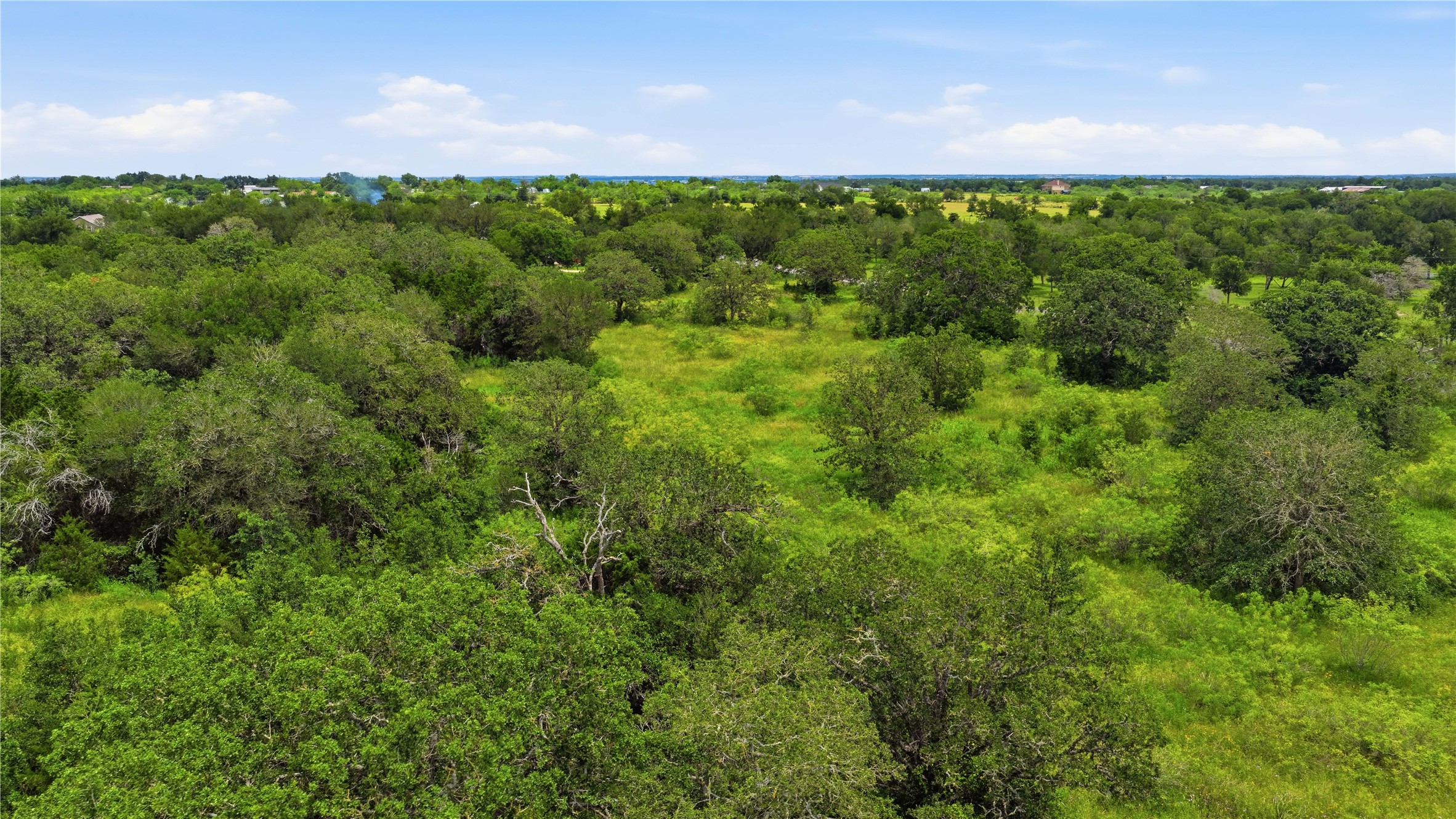 10312 Parsons Road Manor, TX 78653 - Photo 17 of 26 A verdant, sprawling landscape provides an ideal setting for a private estate.