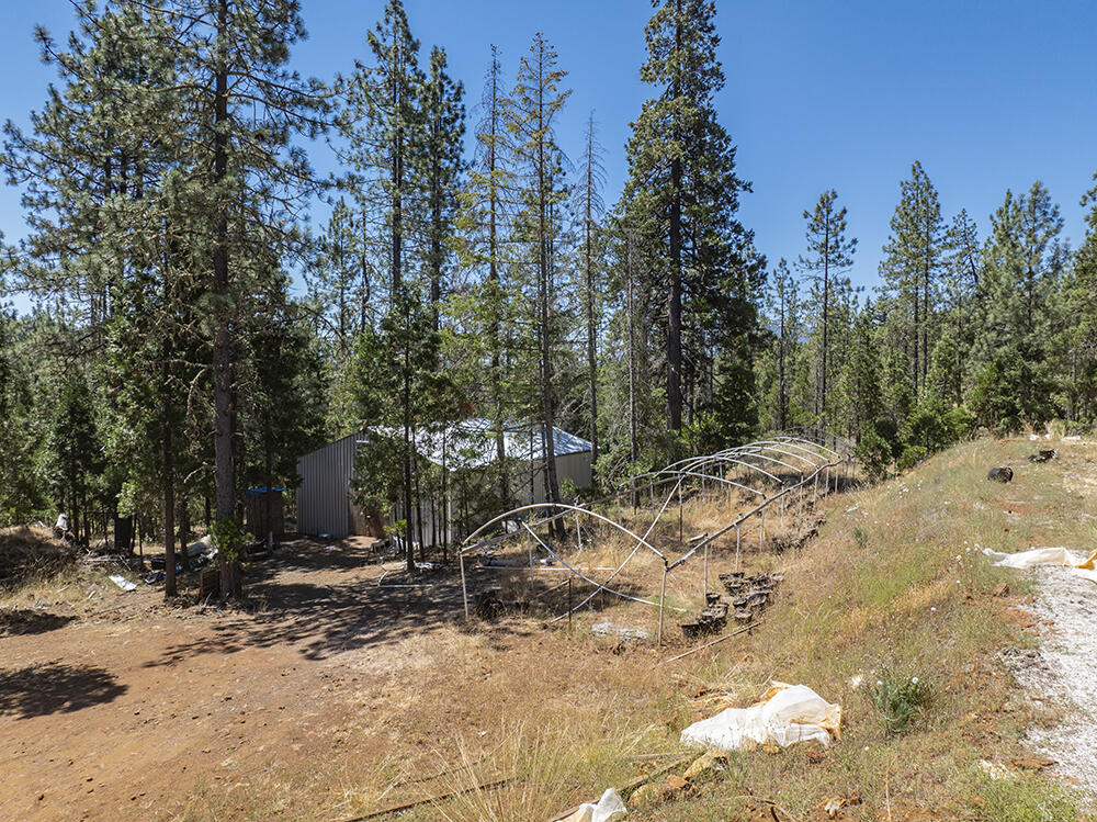650 Gold Canyon Road Selma, OR 97538 - Photo 31 of 47 34