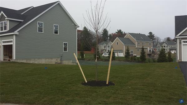 1 Crystal Circle Andover, MA 01810 - Photo 4 of 5