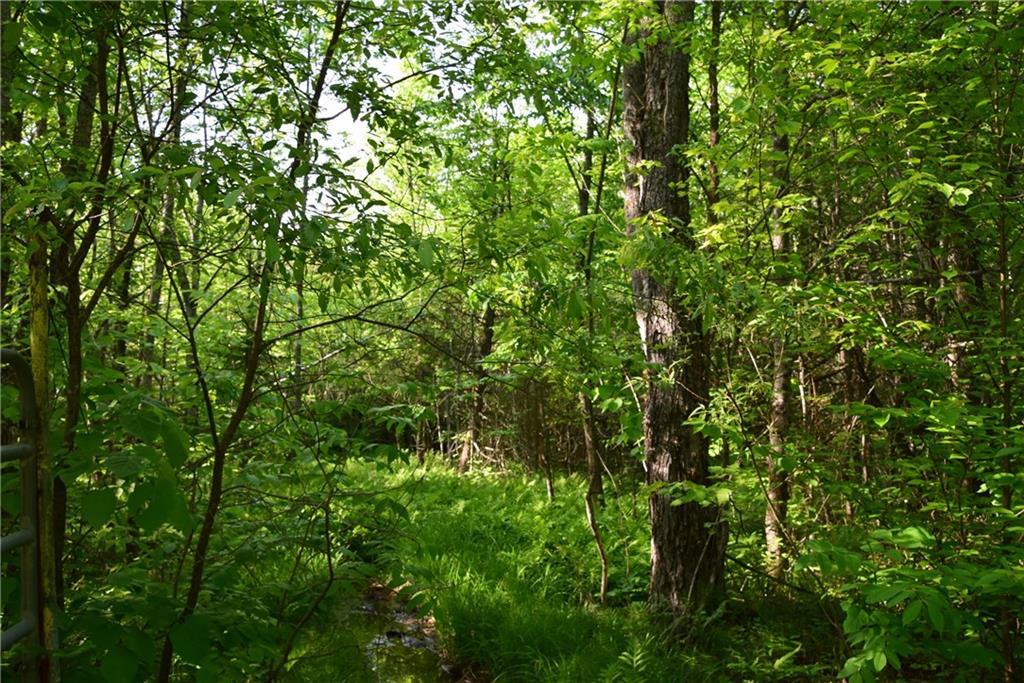 On Oliver Hill Road Garland, ME 04939 - Photo 11 of 28 Photo