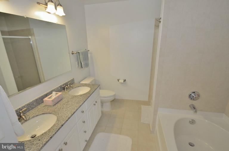 3650 South Glebe Road, Unit 638 Arlington, VA 22202 - Photo 8 of 24 a bathroom with a granite countertop sink and mirror with bathtub