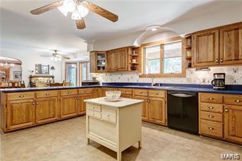 1156 Briar Patch Road Ellisville, MO 63021 - Photo 19 of 33 Gallery Image 19