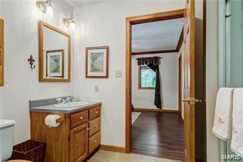 1156 Briar Patch Road Ellisville, MO 63021 - Photo 22 of 33 Gallery Image 22