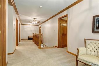 1156 Briar Patch Road Ellisville, MO 63021 - Photo 27 of 33 Gallery Image 27