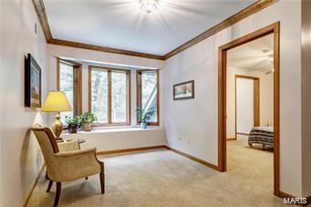 1156 Briar Patch Road Ellisville, MO 63021 - Photo 28 of 33 Gallery Image 28