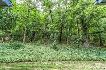 1156 Briar Patch Road Ellisville, MO 63021 - Photo 8 of 33 Gallery Image 8