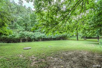 1156 Briar Patch Road Ellisville, MO 63021 - Photo 9 of 33 Gallery Image 9